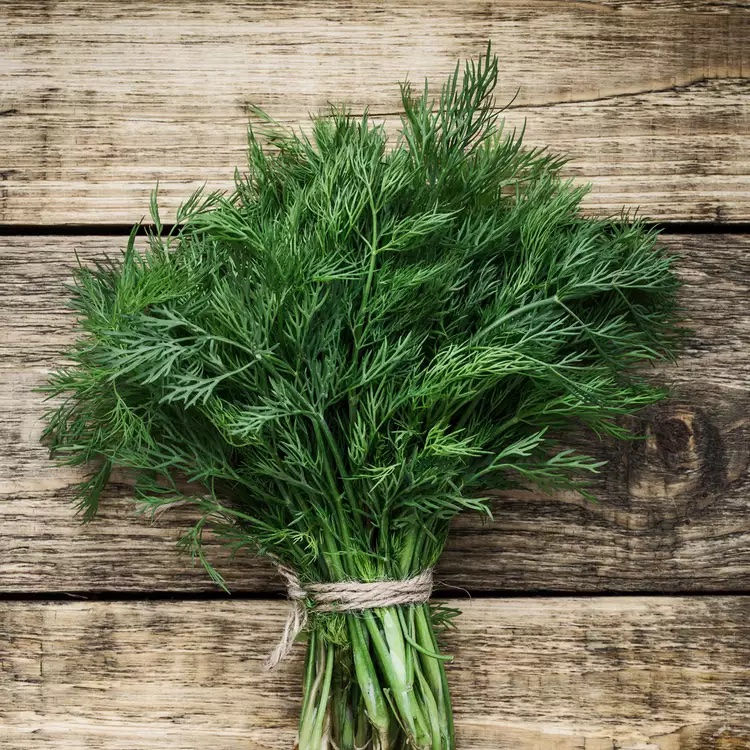 Dill Recipes