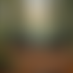 Understanding the Impact of Community Support Programs