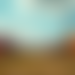 Exploring the Pagan Community in Florida