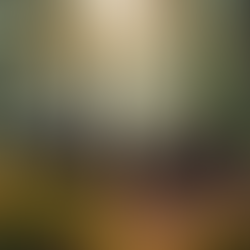 Navigating Event Rules and Regulations