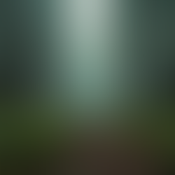 Finding Pagan Events Near You