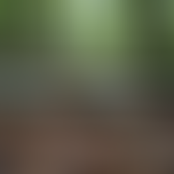 Find and Connect with Local Pagan Groups