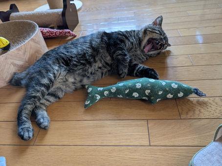 猫用おもちゃ「じゃれぐるみ」開発秘話|本気で遊べる猫のおもちゃができるまで