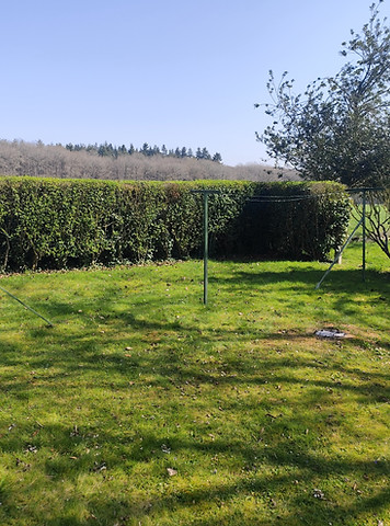 élagage , abattage, dessouchage, coutris paysage