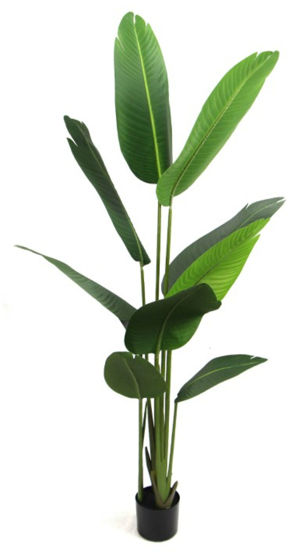 Miniature : plantes artificielles , mur végétalisé, plantes artificielles