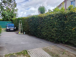 rattrapage de taille