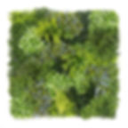 plantes artificielles , mur végétalisé, plantes artificielles