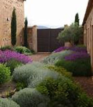 aménagement de jardin méditerranéen