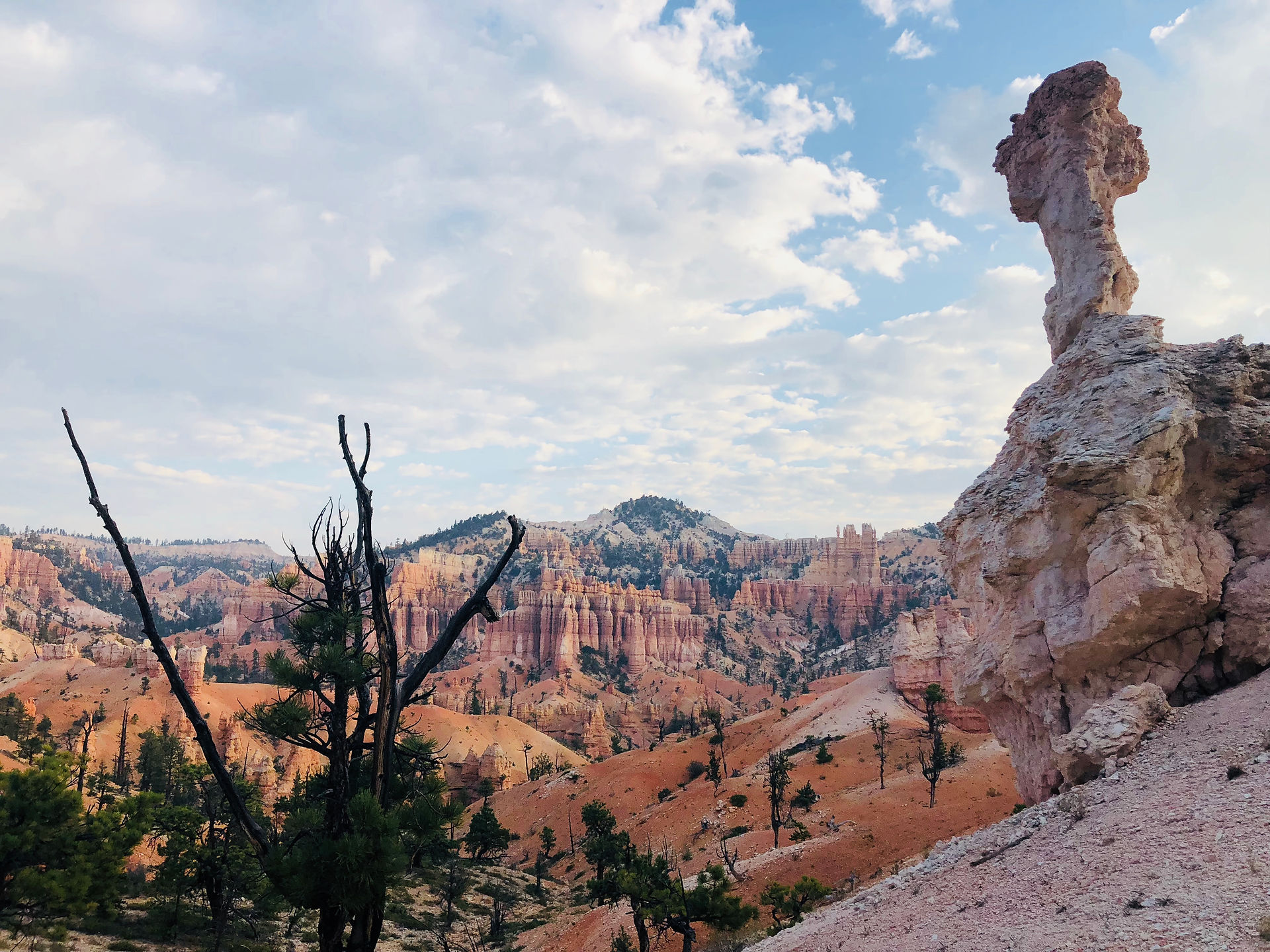 Bryce Canyon NP