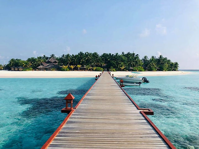 Maldives Banyan Tree