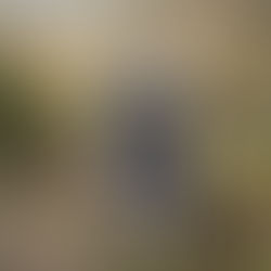 Camino De Santiago 2025                             