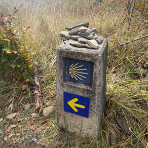 Camino De Santiago 2025                             