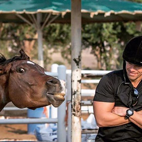 The UAE and Sir Bani Yas Island on Horseback