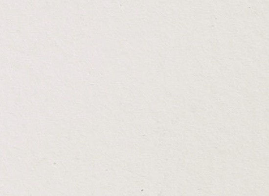 006 POLAR WHITE