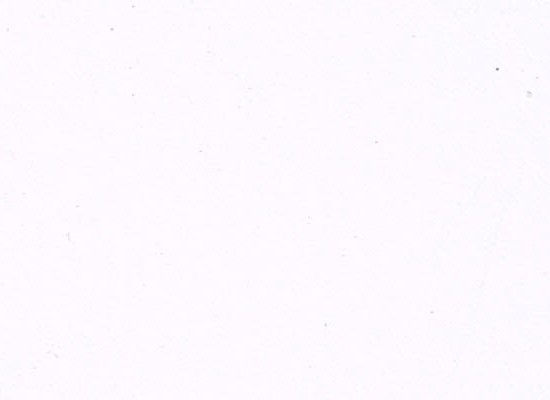 002 TRINITY WHITE