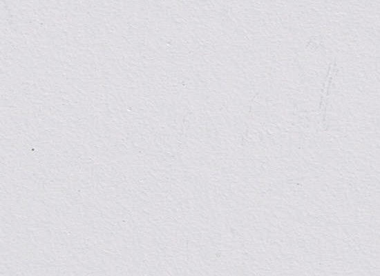 010  WHITE GRAY