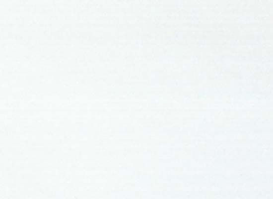 008 COTTEN WHITE