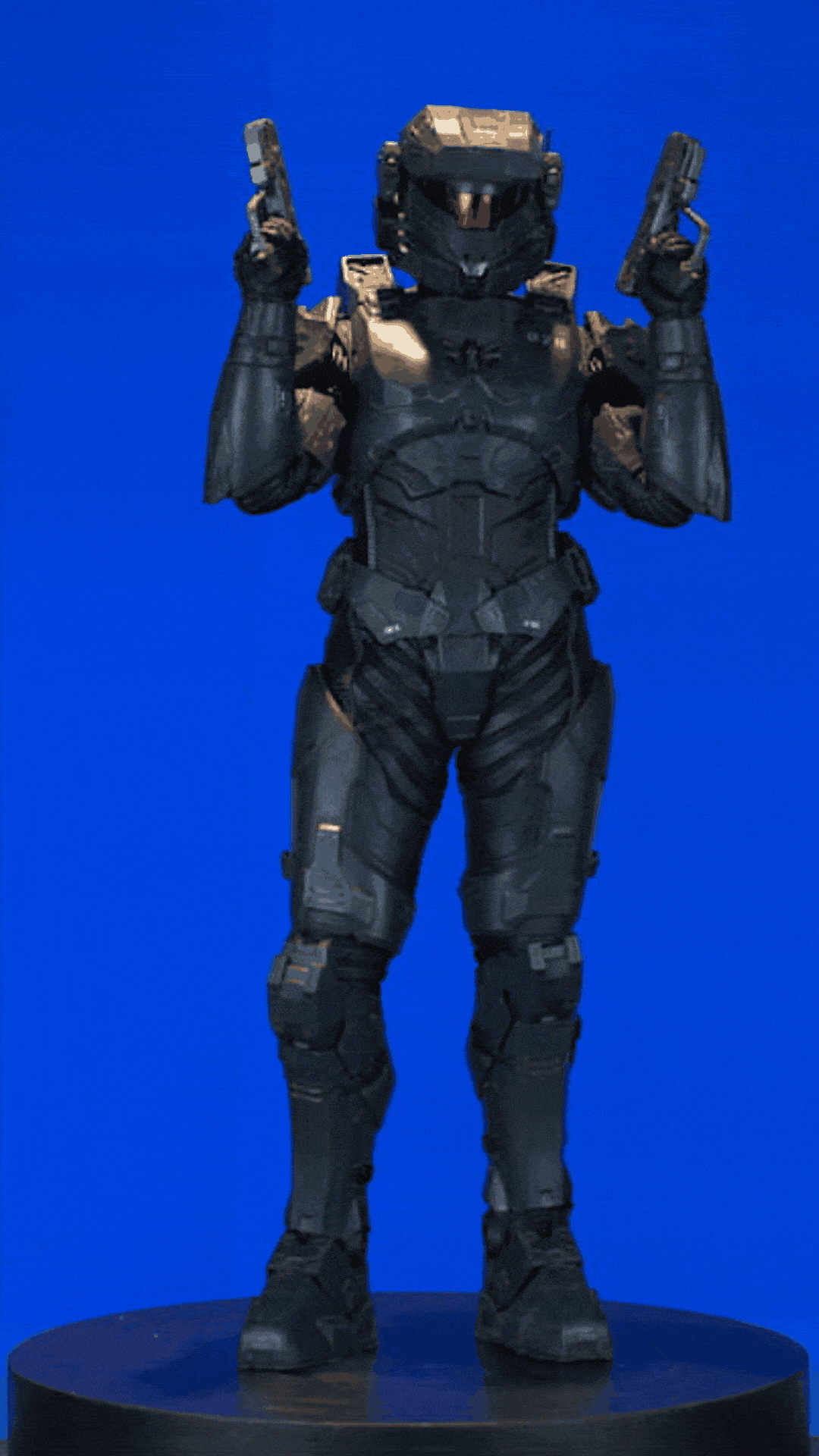 PA SLVR S2_Loadout_Riz.gif