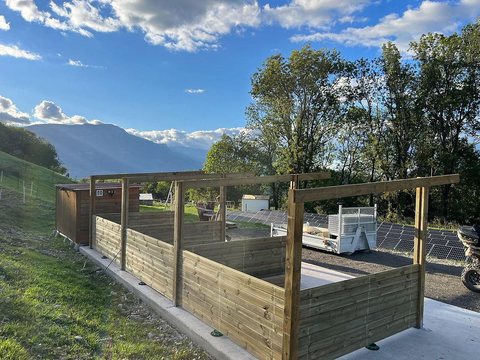 Construction d'un abris en bois pour accueil des poneys, montagnes en arrière-plan, ciel bleu et nuages.