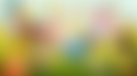 The Three ‘E’s of English Teaching