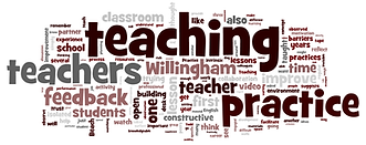 TEFL Practicum or observed teaching practices