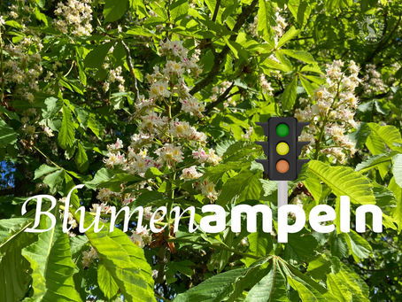 Blühende Kastanie mit Bildunterschrift Blumenampeln und Ampelgrafik