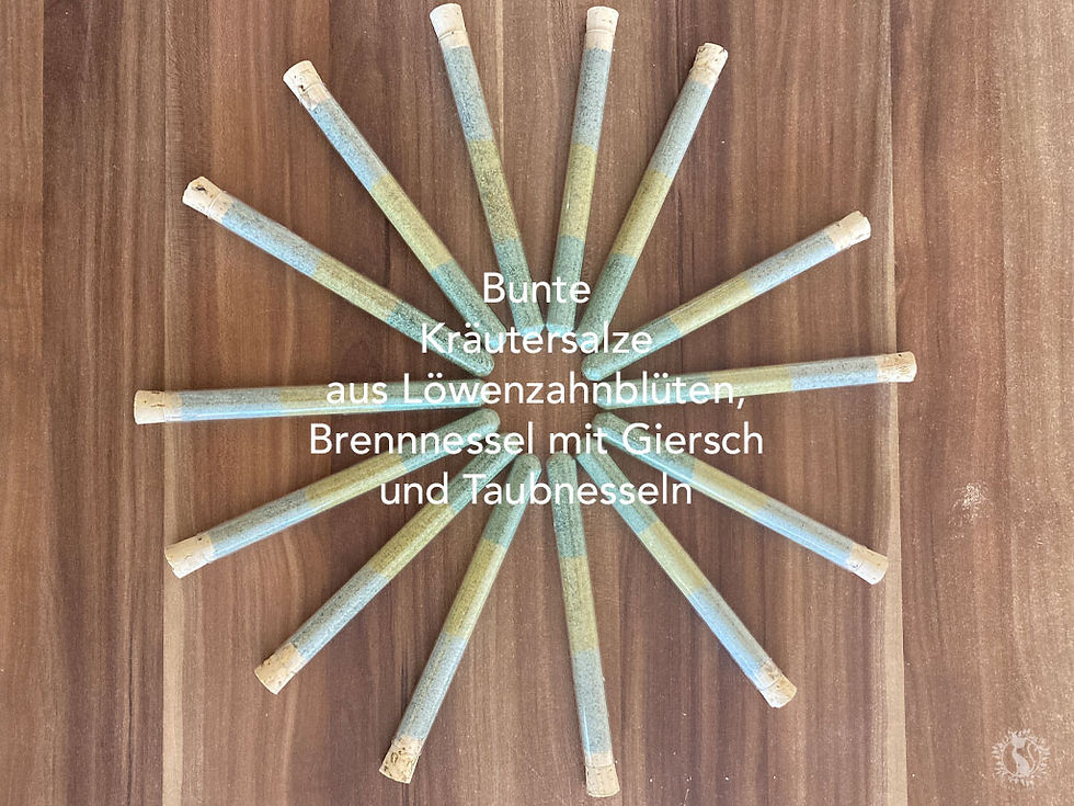 Sternförmig angeordnete Reagenzgläser mit bunten Kräutersalzen