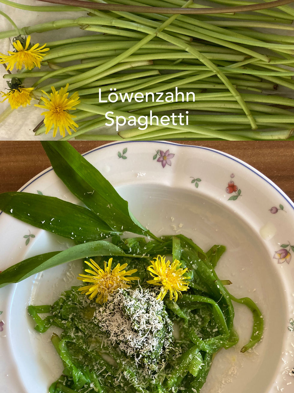 Frische Löwenzahnstiele und ein Teller mit gekochten Stielen als Spaghetti mit Pesto und Löwenzahnblüten als Deko