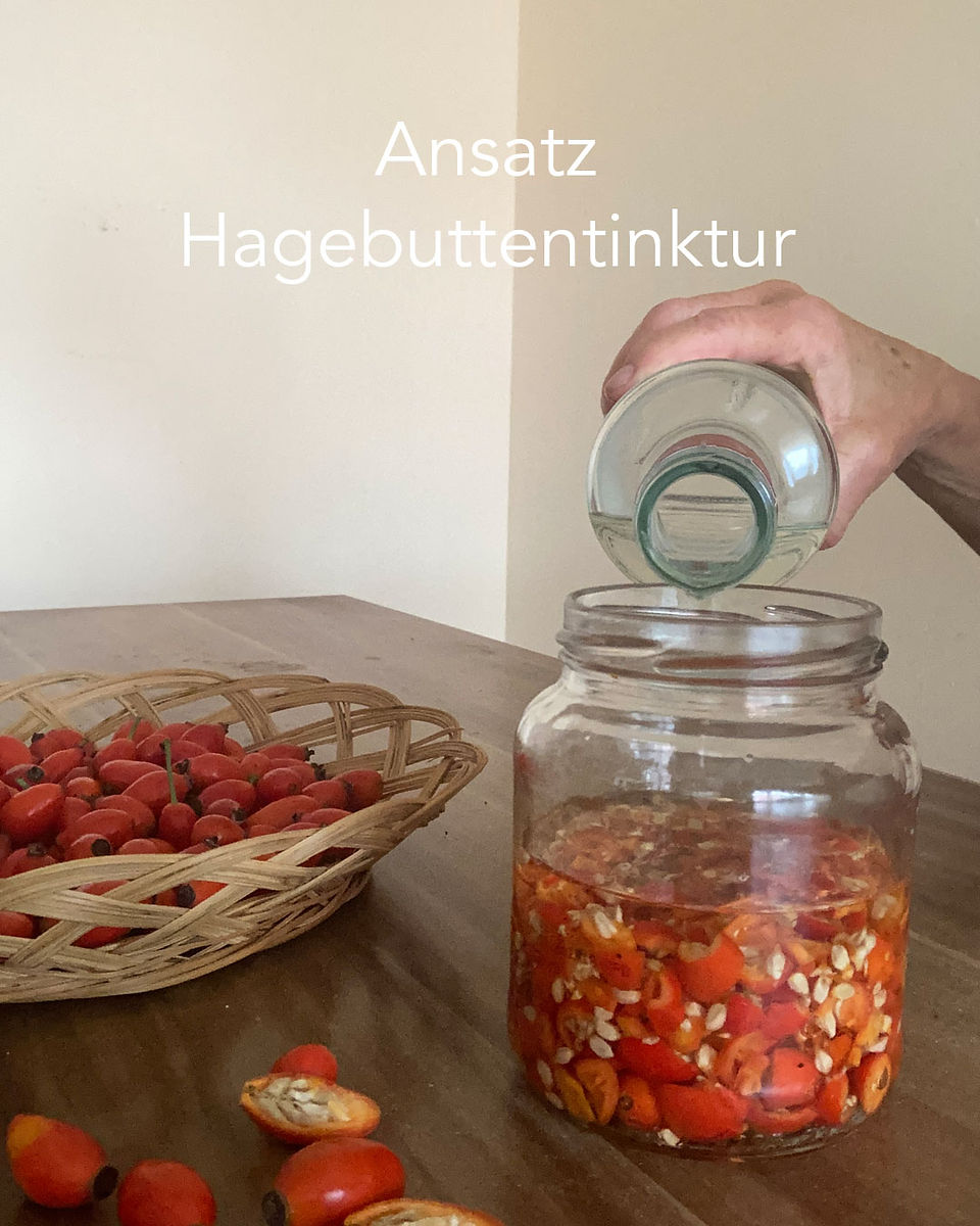 Zubereitung einer Hagebuttentinktur