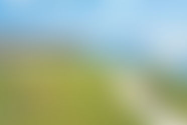 Best Time of Year to Move in Lakewood Ranch, Florida