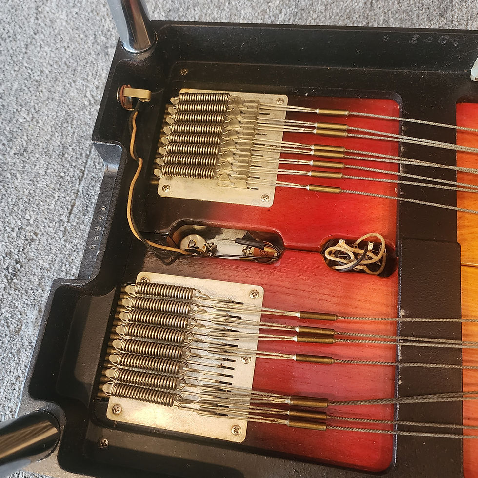 Thumbnail: 1961 Fender 1000 D8