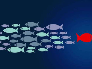 Standing out in a sea of good: three tips to make a killer website