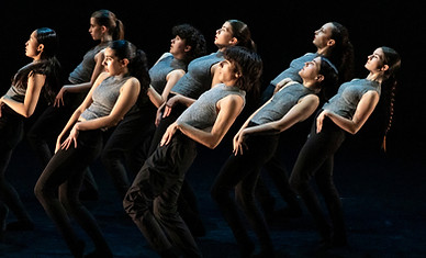 2025 SIP Performance Poster_edited.jpg