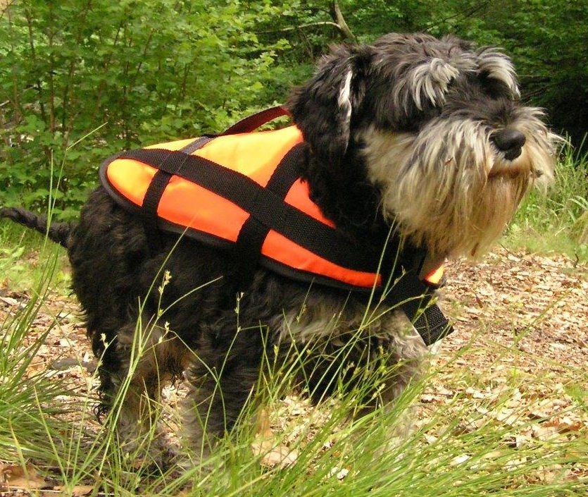 Miniatyrbilde: Aquarius PET Hundevest