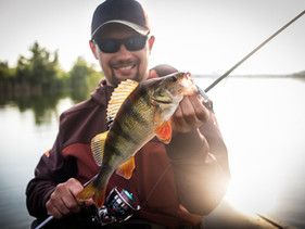 AdobeStock_271001456.jpeg