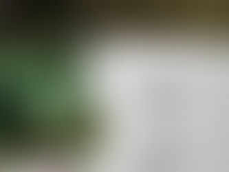 The Key to Literary Success: EDITING