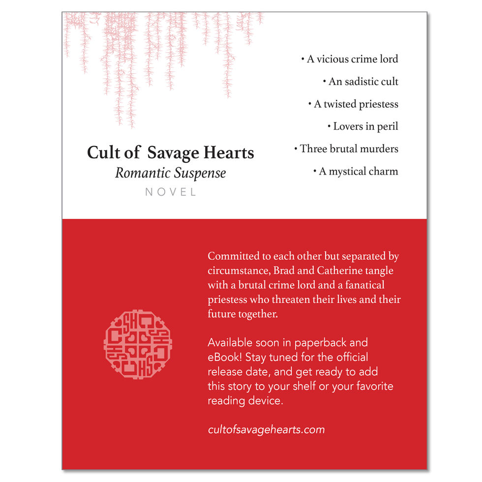 Novel - promotional flyer