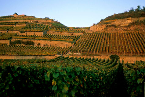 Baden-Ihringen.jpg