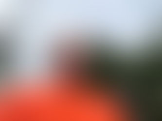 20260619