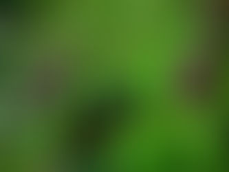 20260920