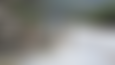 Aplica SEDENA Plan DN-III-E en Rayones