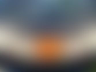 Jueza rechaza suspender por tiempo indefinido las corridas de toros