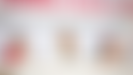 Evelyn Salgado celebra el Día Nacional de las Personas Adultas Mayores, anunciando la Tarjeta Dorada