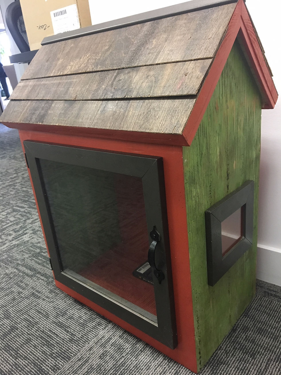 A Little Free Library built by Custom Design & Construction