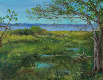 Marshlands along the Newport Bay with morning fog.