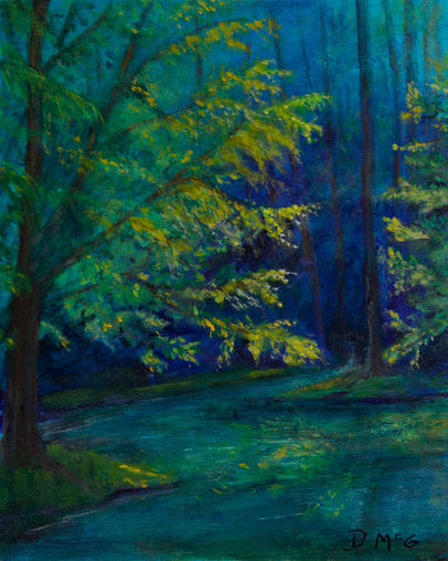 The tips of the trees are highlighted against the dense green background of the deep wooded waterway.