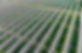 DJI_20240627190342_0056_D.jpeg