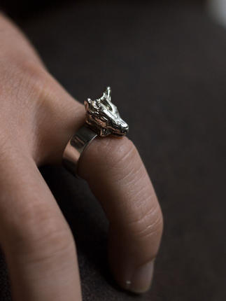 Xoloitzcuintle ring