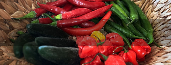 צור קשר עם חריף אש