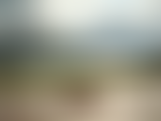 Wedding Celebrant based in Shannon Co.Clare